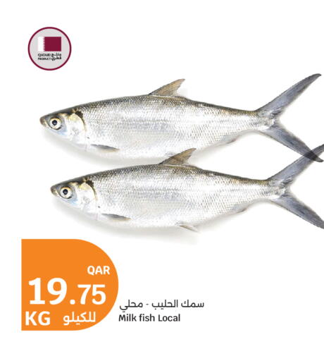 available at City Hypermarket in Qatar - Al-Shahaniya