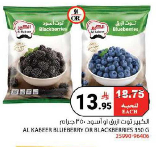 Blueberry BlueBerry available at House Care in KSA, Saudi Arabia, Saudi - Mecca