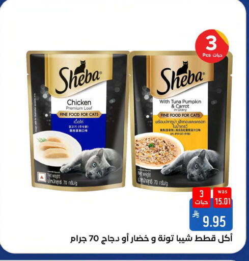 Pumpkin Carrot available at Shubra AlTaif in KSA, Saudi Arabia, Saudi - Mecca