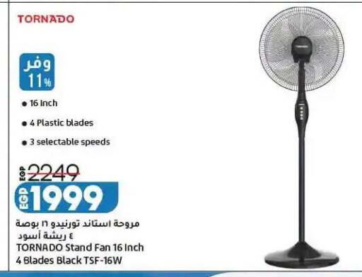 available at لولو هايبرماركت in Egypt - القاهرة