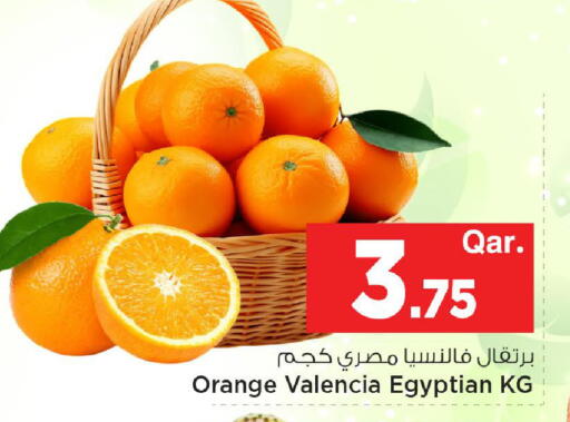Orange from Egypt available at Mark & Save  in Qatar - Al-Shahaniya
