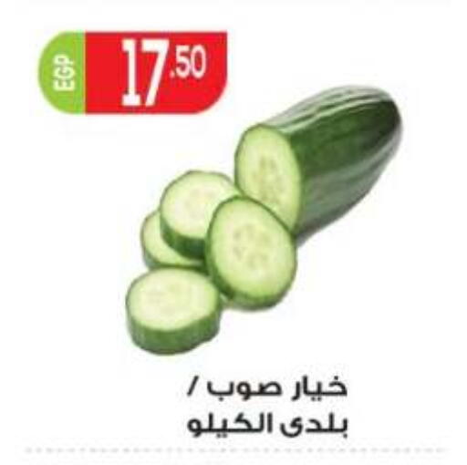 available at المحلاوي ماركت in Egypt - القاهرة