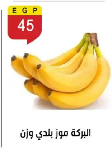 available at بن سليمان in Egypt - القاهرة