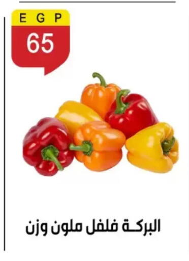 available at بن سليمان in Egypt - القاهرة