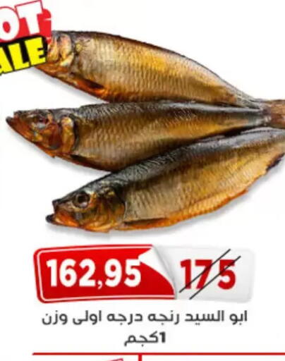 available at اسواق البدر in Egypt - القاهرة