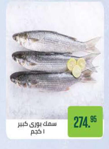 available at سعودي سوبرماركت in Egypt - القاهرة