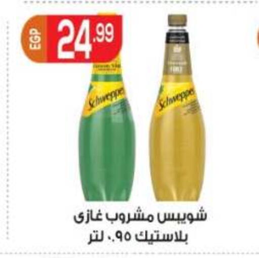 available at المحلاوي ماركت in Egypt - القاهرة