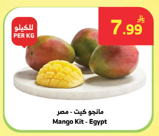 Mango from Egypt available at الراية in مملكة العربية السعودية, السعودية, سعودية - المدينة المنورة