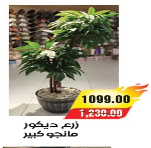 available at آي ماركت in Egypt - القاهرة