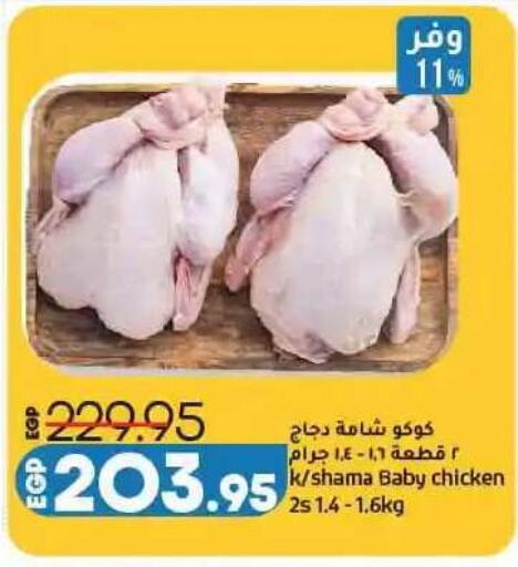 available at لولو هايبرماركت in Egypt - القاهرة