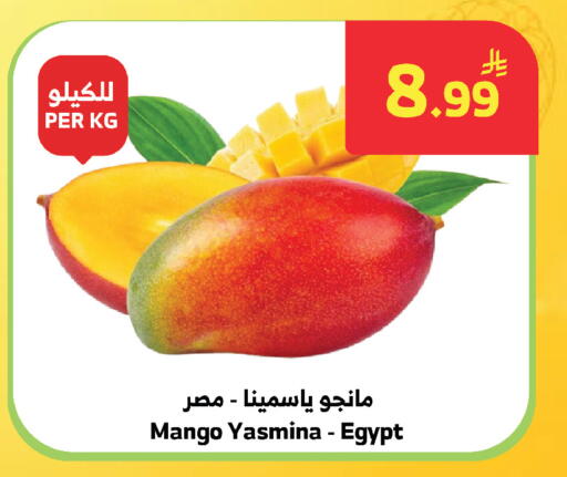 Mango from Egypt available at الراية in مملكة العربية السعودية, السعودية, سعودية - المدينة المنورة