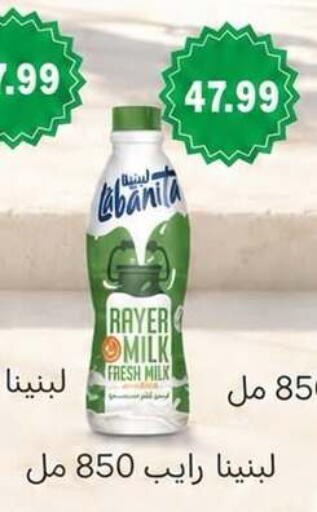 available at المحلاوي ماركت in Egypt - القاهرة