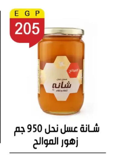 available at بن سليمان in Egypt - القاهرة