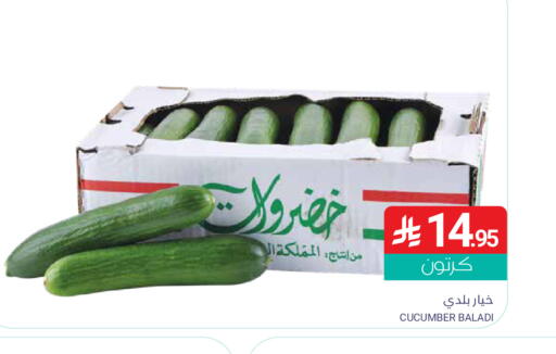 Cucumber available at اسواق المنتزه in مملكة العربية السعودية, السعودية, سعودية - المنطقة الشرقية