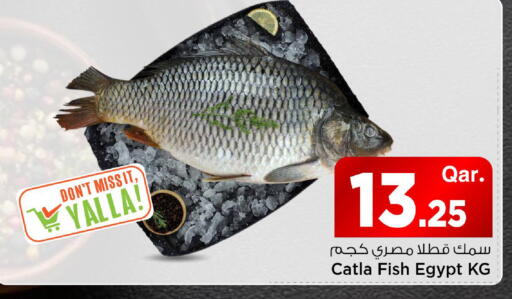 available at Mark & Save  in Qatar - Umm Salal