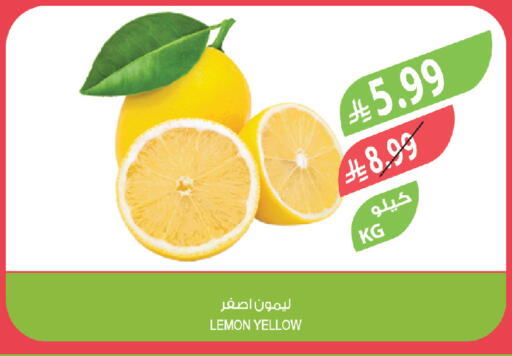 Lemon available at Farm  in KSA, Saudi Arabia, Saudi - Tabuk