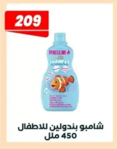 available at Arafa Market in Egypt - Cairo