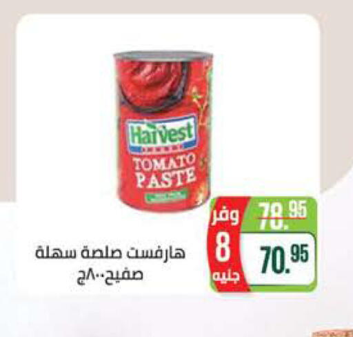 Tomato available at سعودي سوبرماركت in Egypt - القاهرة