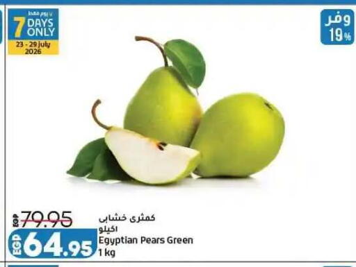 from Egypt available at لولو هايبرماركت in Egypt - القاهرة