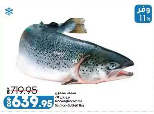 available at لولو هايبرماركت in Egypt - القاهرة