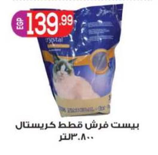 available at المحلاوي ماركت in Egypt - القاهرة