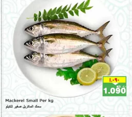 available at نستو هايبر ماركت in الكويت - مدينة الكويت
