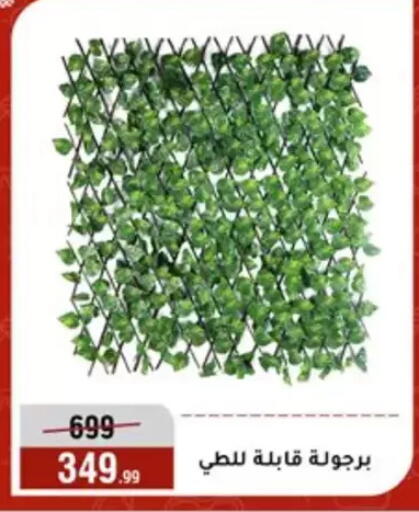 available at المرشدي in Egypt - القاهرة
