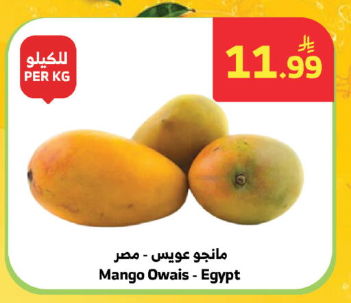 Mango from Egypt available at Al Raya in KSA, Saudi Arabia, Saudi - Jeddah