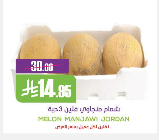 Melon from Jordan available at Sapt in KSA, Saudi Arabia, Saudi - Buraidah