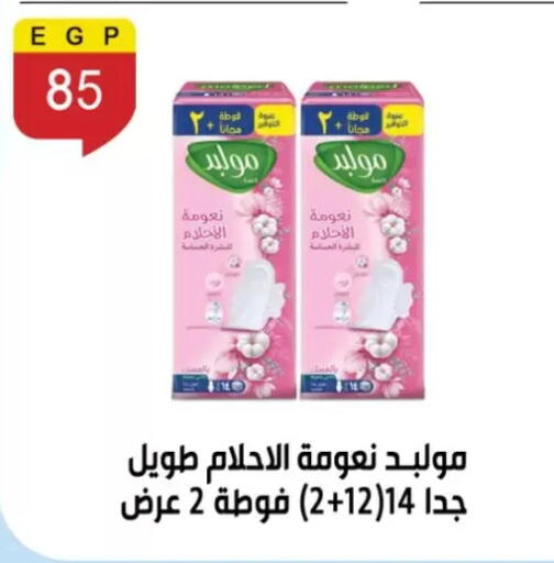 available at بن سليمان in Egypt - القاهرة