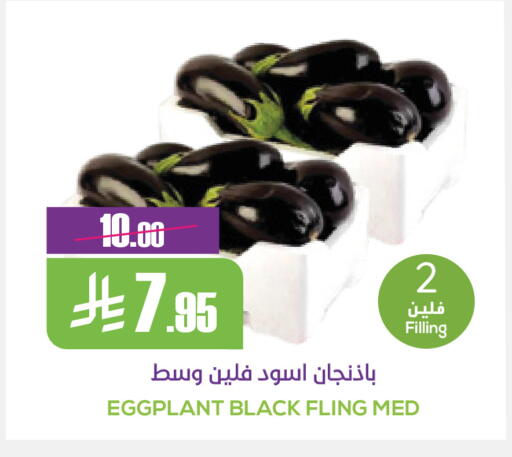 Eggplant available at Sapt in KSA, Saudi Arabia, Saudi - Buraidah