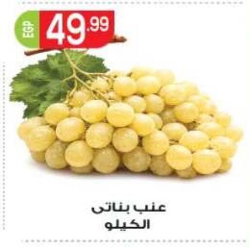 available at المحلاوي ماركت in Egypt - القاهرة