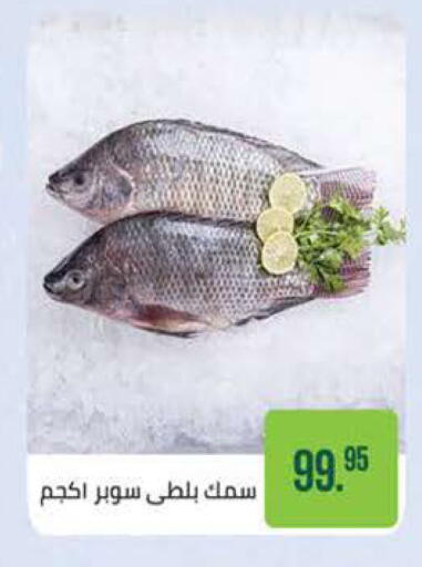 available at سعودي سوبرماركت in Egypt - القاهرة