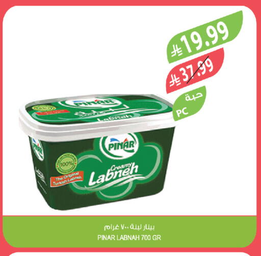 available at Farm  in KSA, Saudi Arabia, Saudi - Hafar Al Batin