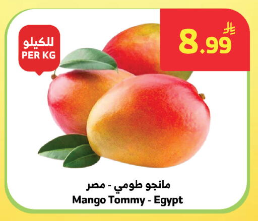 Mango from Egypt available at الراية in مملكة العربية السعودية, السعودية, سعودية - المدينة المنورة