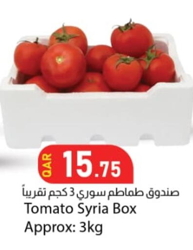 Tomato from Syria available at Dana Market in Qatar - Al Wakra