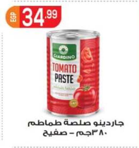 Tomato available at المحلاوي ماركت in Egypt - القاهرة