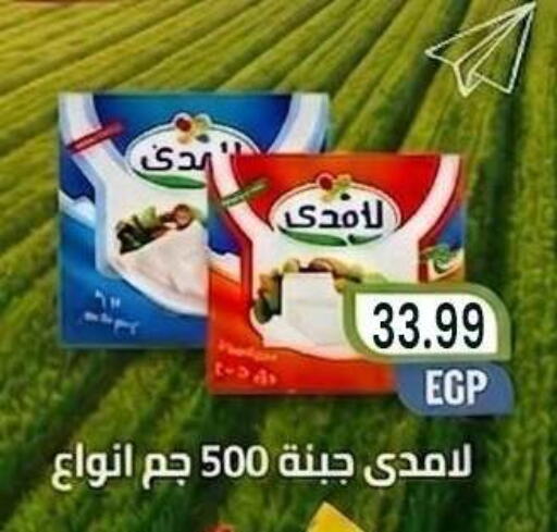 available at المحلاوي ماركت in Egypt - القاهرة