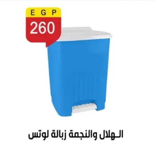 available at Ben Seleman in Egypt - Cairo