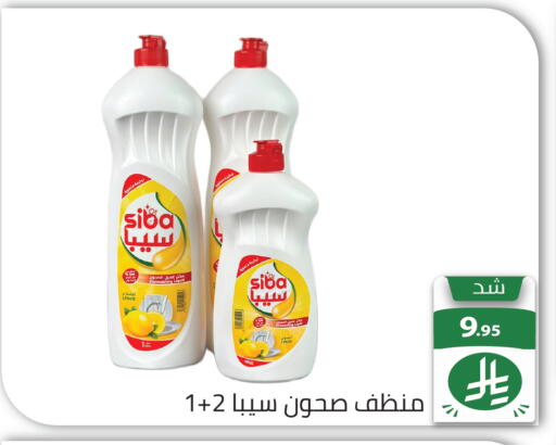 Lemon available at تخفيضات العائلة in مملكة العربية السعودية, السعودية, سعودية - الرياض
