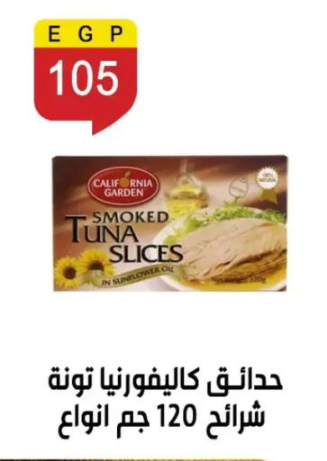 available at بن سليمان in Egypt - القاهرة