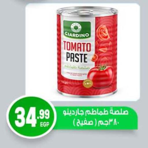 Tomato available at المحلاوي ماركت in Egypt - القاهرة