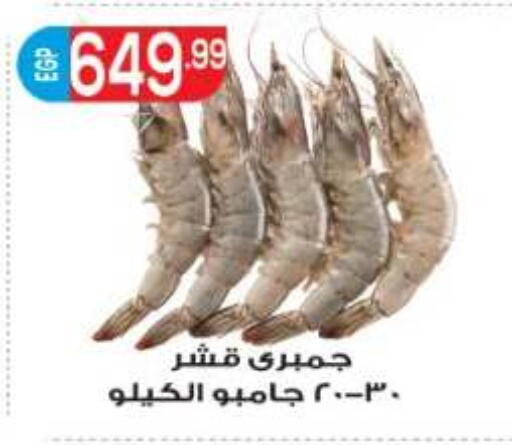 available at المحلاوي ماركت in Egypt - القاهرة