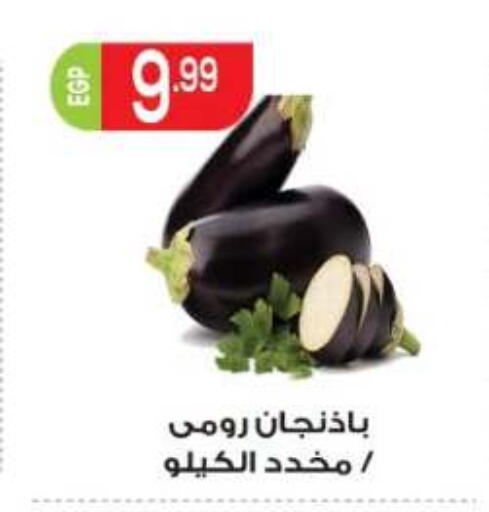 available at المحلاوي ماركت in Egypt - القاهرة
