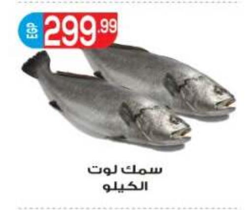 available at المحلاوي ماركت in Egypt - القاهرة