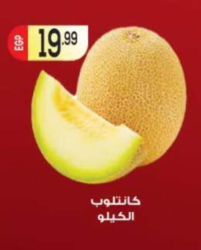available at المحلاوي ماركت in Egypt - القاهرة