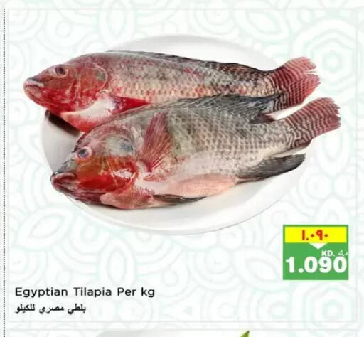 available at نستو هايبر ماركت in الكويت - مدينة الكويت