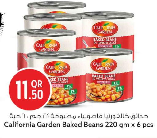 Tomato available at Safari Hypermarket in Qatar - Al Shamal