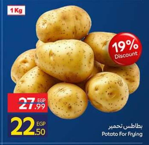 Potato available at كارفور in Egypt - القاهرة
