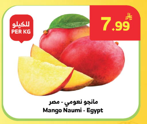 Mango from Egypt available at الراية in مملكة العربية السعودية, السعودية, سعودية - المدينة المنورة